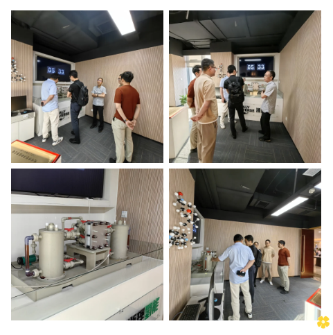 1717482406444918.png 1717482402139.png